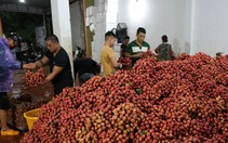 Khai thác thị trường Mỹ cho nông sản Việt Nam