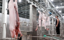 TP.HCM sắp có sàn giao dịch thịt heo, chốt hợp đồng giao ngay và giao theo kỳ hạn