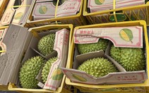 Xuất khẩu rau quả sẽ lập kỳ tích mới trong năm 2023