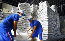 Gạo Việt Nam lập kỷ lục đắt nhất thế giới