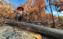 Hình ảnh hàng chục héc ta rừng ở Quảng Nam bị lửa thiêu rụi 