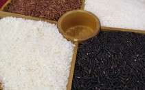 Thị trường lúa gạo Việt Nam sẽ ra sao sau động thái mới của Ấn Độ, Myanmar?