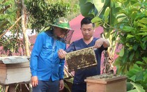 Phong trào Nông dân sản xuất, kinh doanh giỏi ở huyện biên giới Nậm Pồ, nhiều nông dân thu nhập tiền tỷ mỗi năm