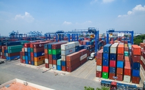 Hơn 1.000 container bị… bỏ quên ở cảng Cát Lái, chứa gì?