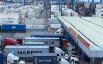 Hàng trăm container chuối, mít, sầu riêng bất ngờ bị 'tuýt còi' xuất Trung Quốc