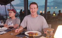 Mark Zuckerberg nuôi bò