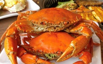 Nhóm khách 7 người ăn buffet Hà Nội nhét 10kg hải sản vào túi mang về