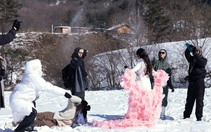 Xuân Lan cùng dàn người mẫu sải bước catwalk trên nền tuyết trắng