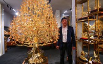 Doanh nhân "trồng" cây đào mạ vàng 24k lớn nhất Việt Nam, giá trên tỷ đồng