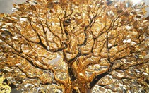 60 nghệ nhân chế tác cây bồ đề mạ vàng chưng Tết giá 24 tỷ đồng