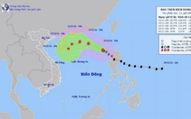 Bão số 8 có sức gió mạnh lên đến 102 km/h