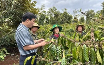Nông dân canh tác cà phê tại Tây Nguyên được trao bảo hiểm Sức khỏe toàn diện