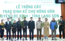 Lạng Sơn: Hình ảnh nông dân Lộc Bình phấn khởi nhận gần 4.000 cây giống mắc ca
