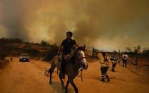Hình ảnh cháy rừng hoành hành khiến ít nhất 46 người thiệt mạng