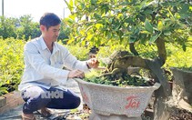 Ông nông dân Bến Tre giàu lên nhờ 24 năm kiên trì trồng một loại cây cảnh đang hot