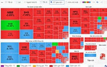 Chứng khoán giảm "sốc" gần 60 điểm, hàng trăm mã giảm kịch sàn