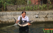 Tỷ phú người dân tộc Dao nuôi cá nước lạnh ở Sa Pa