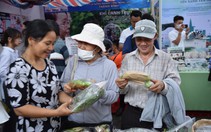 Hoàn thiện cơ chế, chính sách khuyến khích phát triển kinh tế tập thể trên địa bàn TP.HCM