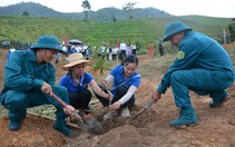 Tuần Giáo: Sôi động ngày hội trồng cây mắc ca