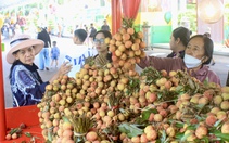 Thỏa sức thưởng thức trái cây đặc sản giá hấp dẫn tại Lễ hội Trái cây Nam bộ lớn nhất TP.HCM
