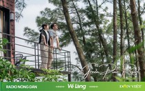 Green Pine Resort – Khu nghỉ dưỡng “XANH” giữa rừng thông trăm tuổi 