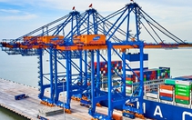 Xuất khẩu phục hồi, các công ty logistics trong nước "gặp thời"