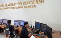 Phát hiện hàng trăm container vi phạm về hàng cấm, hàng nhập khẩu giả mạo xuất xứ    