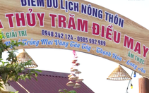 “Đánh thức” Làng nghề trồng mai xã Tân Tây để làm du lịch nông thôn