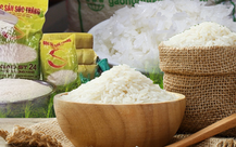 Mới: Có 6 loại gạo Việt Nam đoạt giải ngon nhất thế giới năm 2023