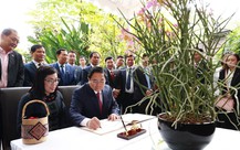  Singapore đặt tên loài hoa lan theo tên Thủ tướng Phạm Minh Chính và phu nhân