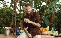 David Beckham ra mắt thương hiệu đồ uống riêng