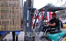 Hòa Bình xuất khẩu lô hàng mía tươi đầu tiên sang Hoa Kỳ