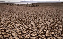 Thế giới đang tiêu thụ cạn kiệt nguồn nước