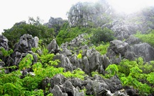 Núi Voi cao nhất Hải Phòng có vô số hang động, măng đá hình thù kỳ lạ