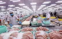 Cổ phiếu ngành nào hưởng lợi từ thương mại Việt - Mỹ?