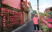 Độc đáo căn nhà trang trí toàn màu hồng bằng đồ nhựa tái chế của ông già U70 ở TP.HCM