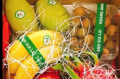 Doanh thu trái cây giảm 60%, HAGL thoát lỗ nhờ lợi nhuận khác