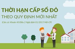 Infographic: Thời hạn cấp Sổ đỏ theo quy định mới nhất