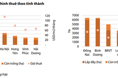 VDSC: Phát triển khu công nghiệp có quỹ đất sạch lớn tiếp tục hưởng lợi