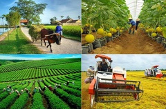 Phát triển nông nghiệp công nghệ cao: Hàng tỷ đồng một cái máy cày nhưng không thể thế chấp ngân hàng