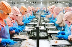 Thủy sản Minh Phú đặt mục tiêu lãi trước thuế đạt 994 tỷ đồng