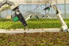 Nông nghiệp công nghệ cao Hà Lan: tay không chạm đất vẫn hốt bạc tỷ