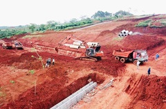 Điều tra vụ phân lô bán đất nông nghiệp ở Lâm Đồng
