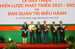 Ông Trần Bá Dương đảm nhận vị trí Chủ tịch HĐQT HAGL Agrico