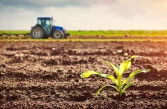 Năm 2021, bị thu hồi đất nông nghiệp có được tái định cư?