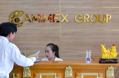 Cổ phiếu Camimex Group (CMX) tăng hơn 35% trong 1 tháng, cổ đông lớn liên tục bán ra