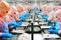 Thủy sản Minh Phú (MPC) chi gần 400 tỷ trả cổ tức năm 2020, tỷ lệ 20%