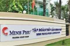 Thủy sản Minh Phú (MPC): Được hoàn thuế chống bán phá giá hơn 336 tỷ đồng; quý II lãi ròng tăng 28%
