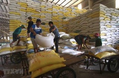 Trung An (TAR) trúng gói thầu 250 tỷ cung cấp gạo hỗ trợ