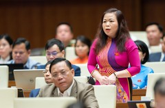 Đại biểu Vũ Thị Lưu Mai: Có tình trạng lạm dụng quyền lực để trục lợi từ đất đai